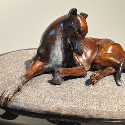 Greyhound
